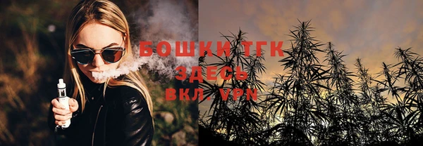 mdpv Белокуриха