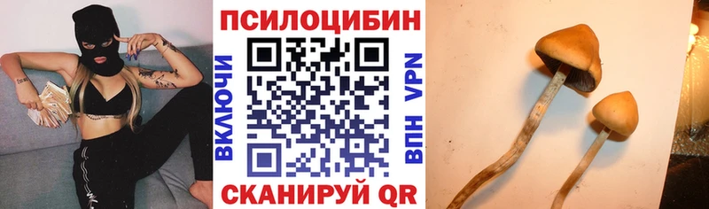 магазин продажи   Гаврилов-Ям  Псилоцибиновые грибы Cubensis 